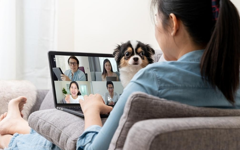 Woman working remotely from her home couch with her dog